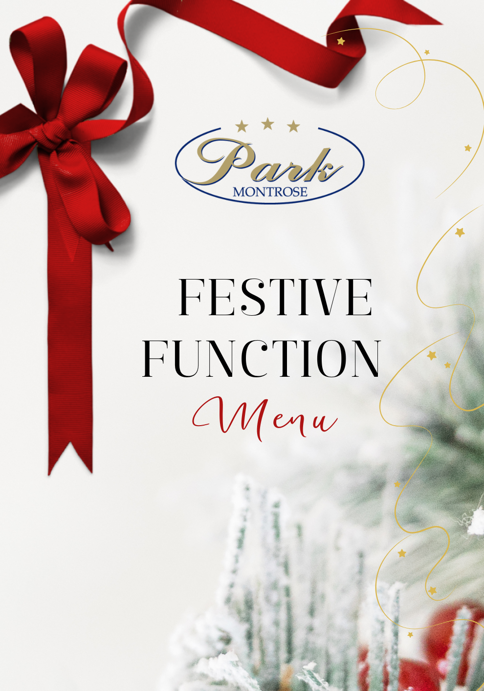 Festive Function Menu